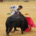 Castellón, Magdalena 2013