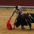 Castellón, Magdalena 2013