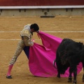 Castellón, Magdalena 2013