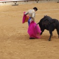 Castellón, Magdalena 2013