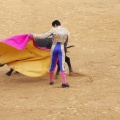 Castellón, Magdalena 2013