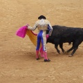 Castellón, Magdalena 2013
