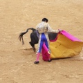 Castellón, Magdalena 2013