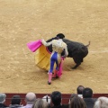 Castellón, Magdalena 2013
