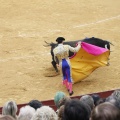 Castellón, Magdalena 2013