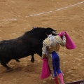 Castellón, Magdalena 2013