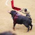 Castellón, Magdalena 2013