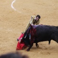 Castellón, Magdalena 2013