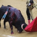 Castellón, Magdalena 2013