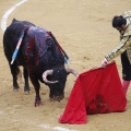 Castellón, Magdalena 2013