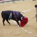 Castellón, Magdalena 2013