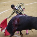 Castellón, Magdalena 2013