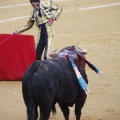 Castellón, Magdalena 2013