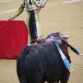 Castellón, Magdalena 2013
