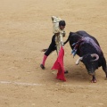 Castellón, Magdalena 2013
