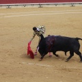 Castellón, Magdalena 2013