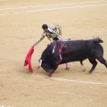 Castellón, Magdalena 2013