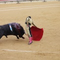 Castellón, Magdalena 2013