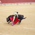 Castellón, Magdalena 2013
