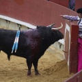 Castellón, Magdalena 2013