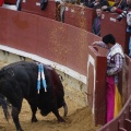 Castellón, Magdalena 2013