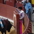 Castellón, Magdalena 2013