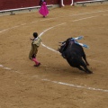 Castellón, Magdalena 2013