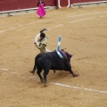 Castellón, Magdalena 2013