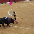 Castellón, Magdalena 2013