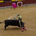 Castellón, Magdalena 2013