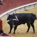 Castellón, Magdalena 2013