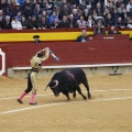Castellón, Magdalena 2013