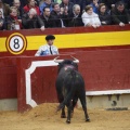 Castellón, Magdalena 2013