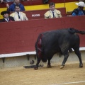Castellón, Magdalena 2013