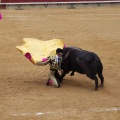 Castellón, Magdalena 2013