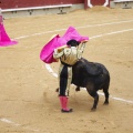 Castellón, Magdalena 2013
