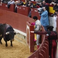 Castellón, Magdalena 2013