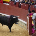 Castellón, Magdalena 2013