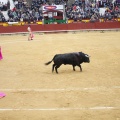 Castellón, Magdalena 2013