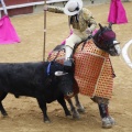 Castellón, Magdalena 2013