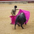 Castellón, Magdalena 2013