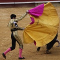 Castellón, Magdalena 2013