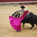 Castellón, Magdalena 2013