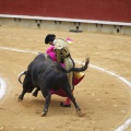 Castellón, Magdalena 2013