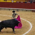 Castellón, Magdalena 2013