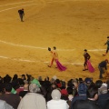 Castellón, Magdalena 2013