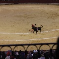 Castellón, Magdalena 2013
