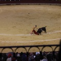 Castellón, Magdalena 2013
