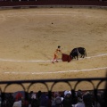 Castellón, Magdalena 2013