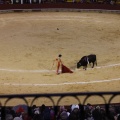 Castellón, Magdalena 2013